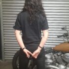 Winged Wolf - T-Shirt - Black